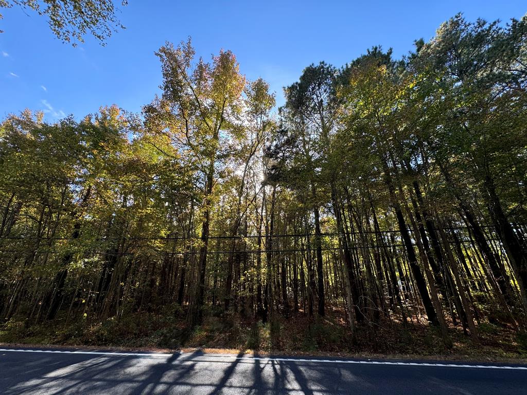 LOT91 Northumberland Hwy, Reedville, VA 22539 - photo 1