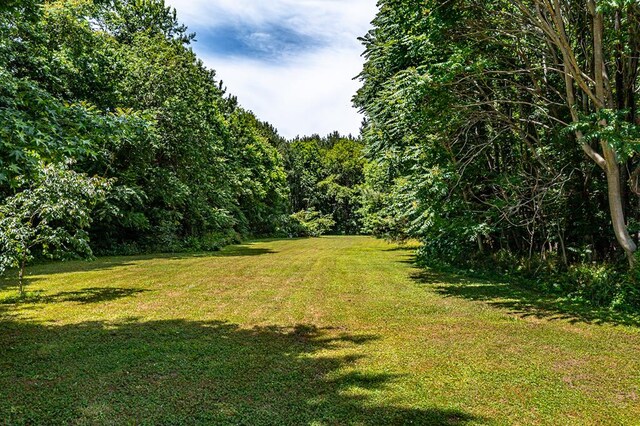 273 Greenfield Point Dr, Reedville, VA 22539 - photo 27