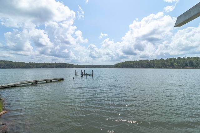 173 Tilden Ln, Weems, VA 22576 - photo 17