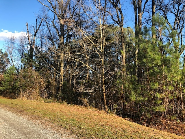 Listing photo 2 for 0 Loch Ln, Heathsville VA 22473