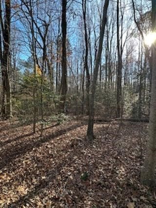 Listing photo 2 for LOT16 Holly Point Dr, Montross VA 22524