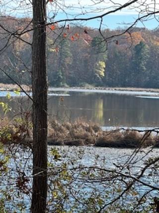 LOT16 Holly Point Dr, Montross VA, 22524 land for sale