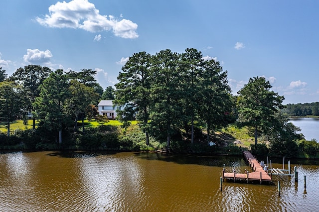 view of water feature with a dock