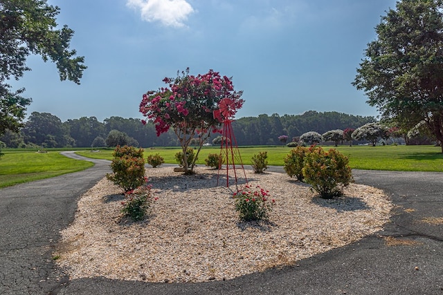 813 Coan Harbour Dr, Lottsburg, VA 22511 - photo 50