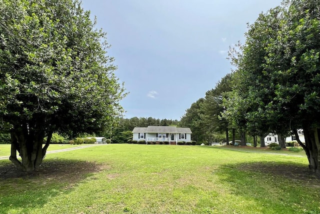2850 Walmsley Rd, Lottsburg, VA 22511 - photo 40