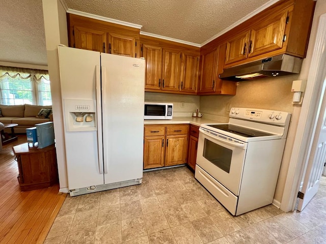2850 Walmsley Rd, Lottsburg, VA 22511 - photo 11
