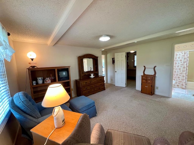 2850 Walmsley Rd, Lottsburg, VA 22511 - photo 19