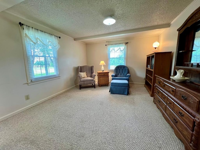 2850 Walmsley Rd, Lottsburg, VA 22511 - photo 15