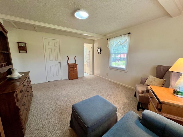 2850 Walmsley Rd, Lottsburg, VA 22511 - photo 20