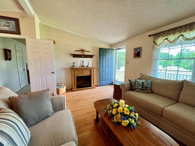 2850 Walmsley Rd, Lottsburg, VA 22511 - photo 10