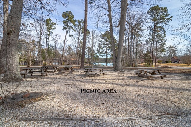 59 Hickory Rd, Lancaster, VA 22503 - view of yard