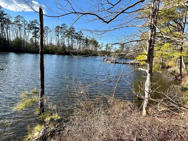 LOT6 Lighthouse Ln, Heathsville, VA 22473 - photo 1