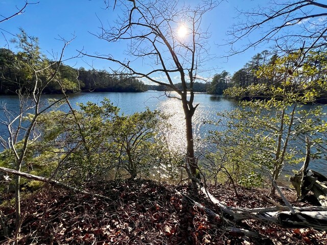 LOT6 Lighthouse Ln, Heathsville, VA 22473 - photo 5