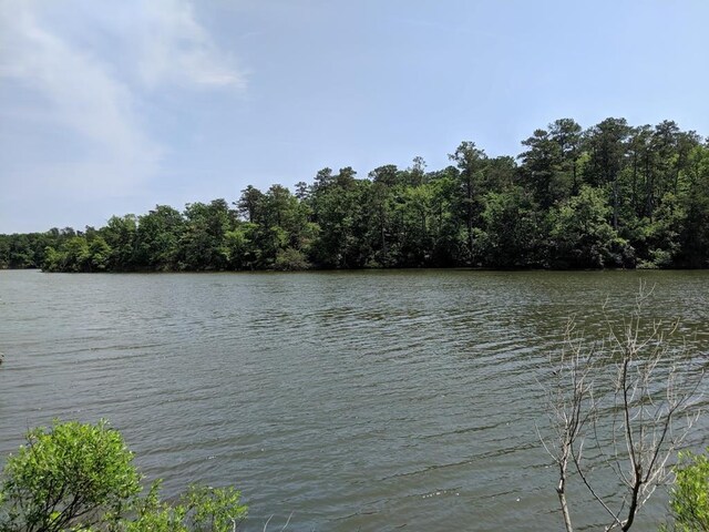 LOT6 Lighthouse Ln, Heathsville, VA 22473 - photo 6