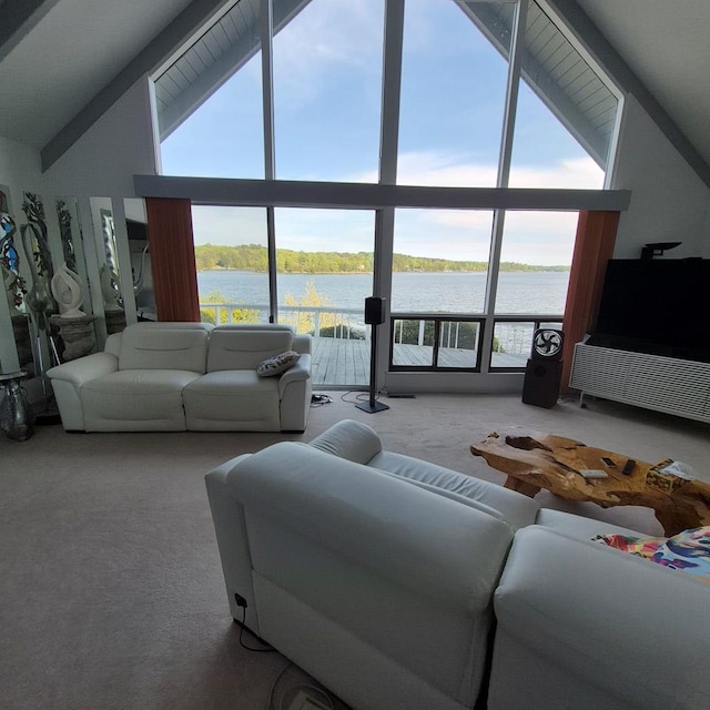 living area featuring high vaulted ceiling, carpet, and plenty of natural light