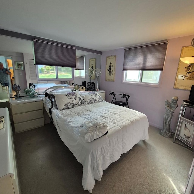 bedroom with carpet flooring and multiple windows