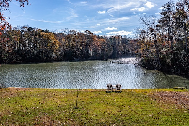 view of water feature