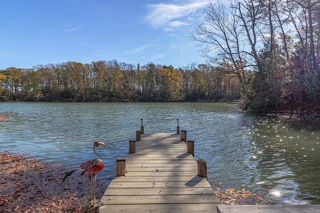 dock area with a water view