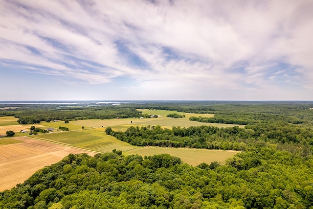 2274 Menokin Rd, Warsaw, VA 22572 - aerial view of a forest
