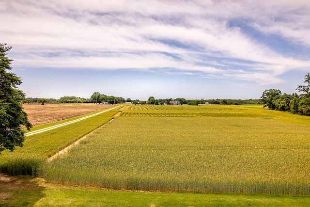 2274 Menokin Rd, Warsaw, VA 22572 - view of yard featuring a rural view