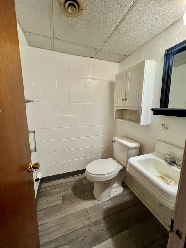 bathroom with a paneled ceiling, hardwood / wood-style flooring, toilet, and sink