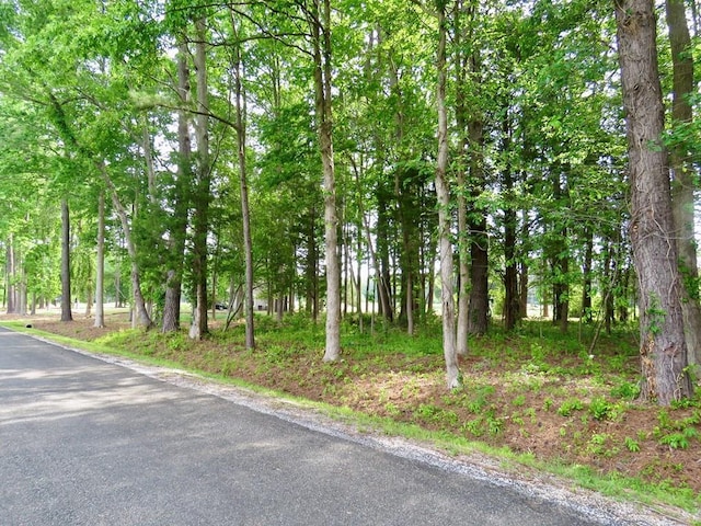 LOTS89 Shawnee Rd, Kilmarnock VA, 22482 land for sale