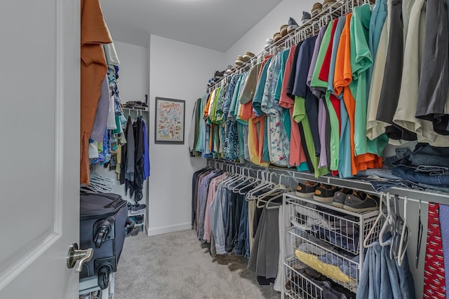 spacious closet featuring carpet floors