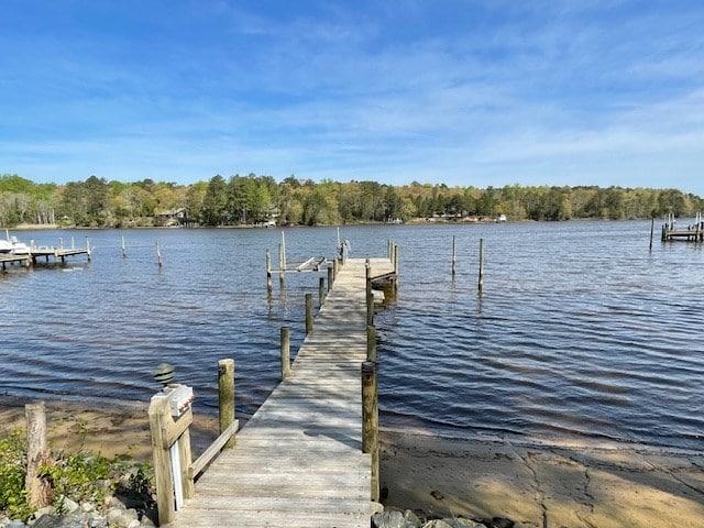 dock area featuring a water view