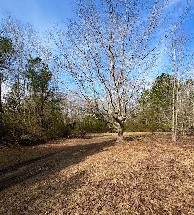 Listing photo 3 for 43 Light St, Heathsville VA 22473