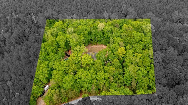 aerial view featuring a forest view