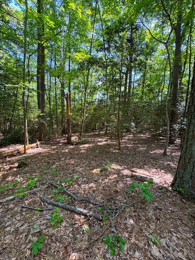 36 Preserve Dr, Lancaster, VA 22503