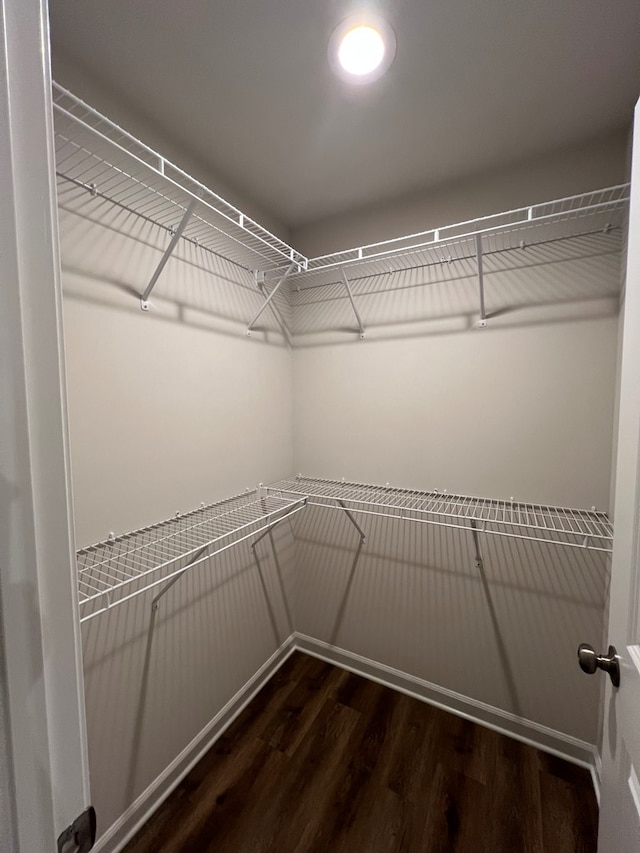 605 Shorewood Dr, Colonial Beach, VA 22443 - walk in closet featuring dark wood-style floors