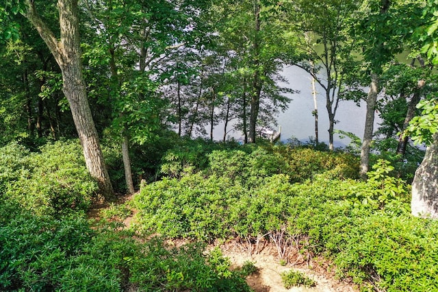 4310 Merry Point Rd, Lancaster, VA 22503 - photo 5