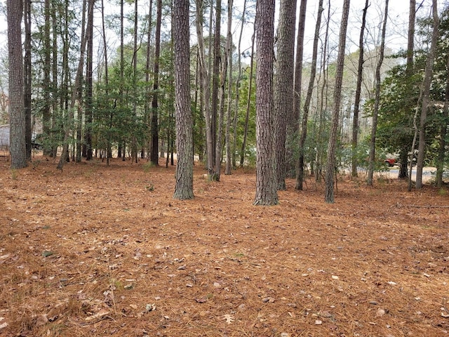 136 Coral Dr, Heathsville, VA 22473 - photo 2