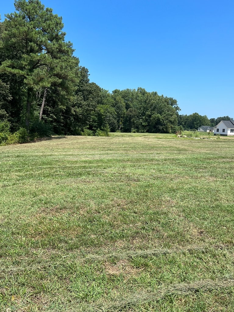 view of yard with a rural view