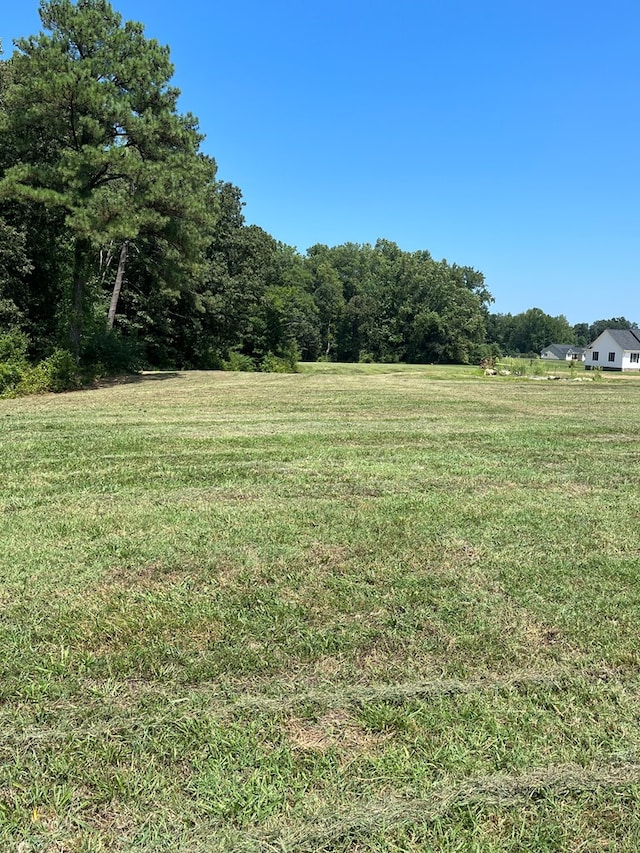 view of yard with a rural view