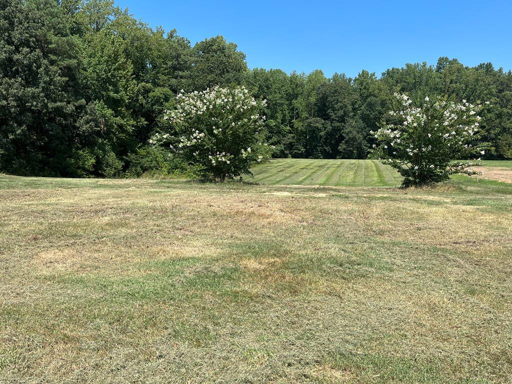 view of yard featuring a rural view