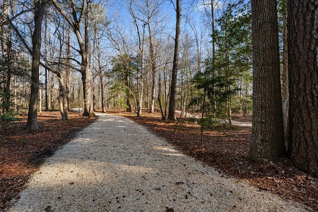 341 Pine Reach Dr, Kilmarnock, VA 22482 - view of road