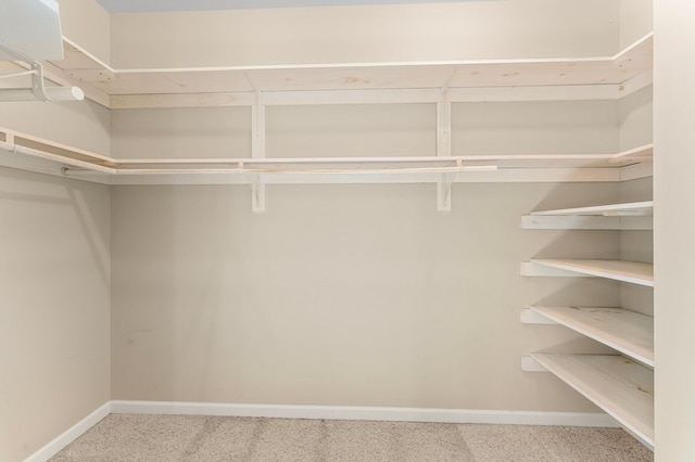 341 Pine Reach Dr, Kilmarnock, VA 22482 - walk in closet featuring carpet