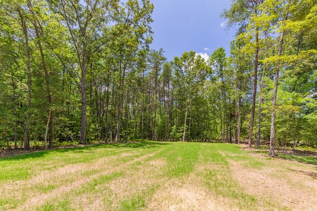 1918 Essex Mill Rd, Dunnsville, VA 22454 - photo 28