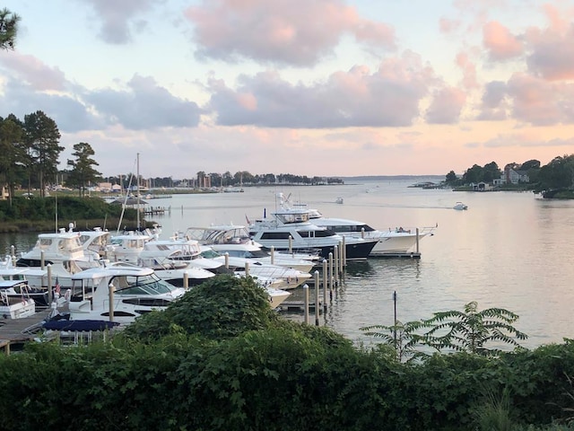 dock area featuring a water view