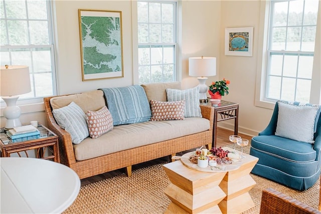 living area featuring baseboards, wood finished floors, and a healthy amount of sunlight