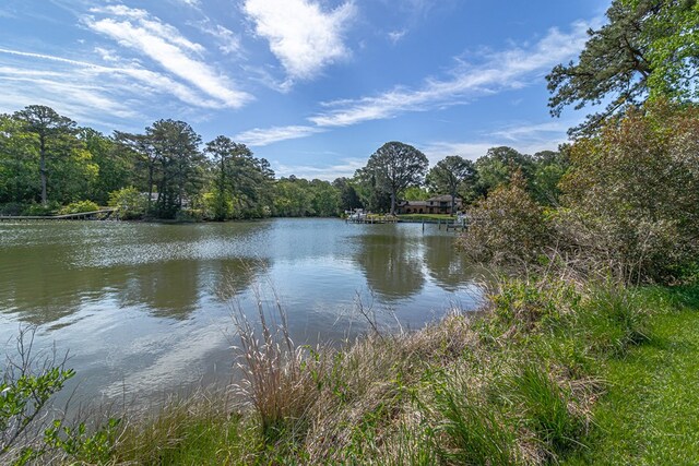 water view with a forest view