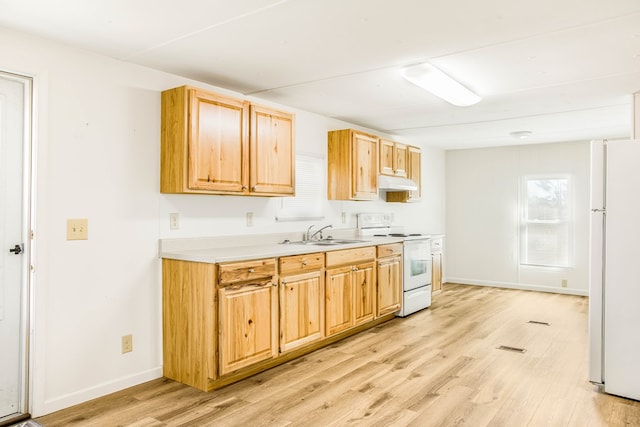 175 Bells Dr, Warsaw, VA 22572 - photo 14
