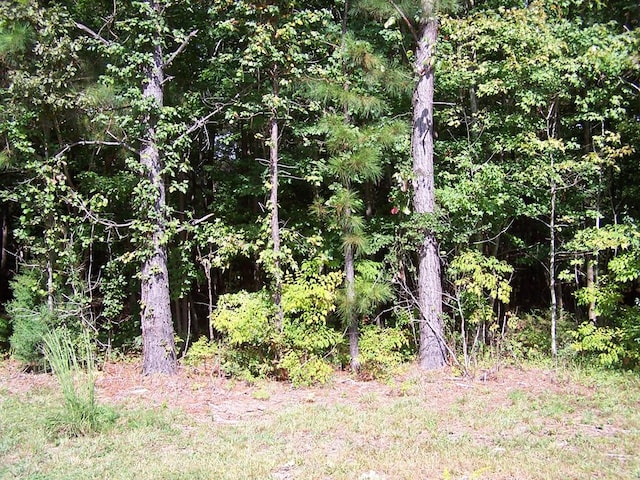 LOTS133 Little John St, Reedville, VA 22539