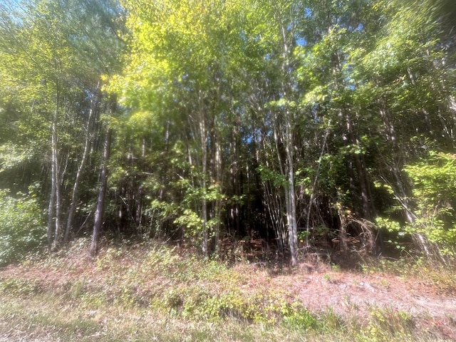 Listing photo 2 for LOT245 Blundon Rd, Reedville VA 22539