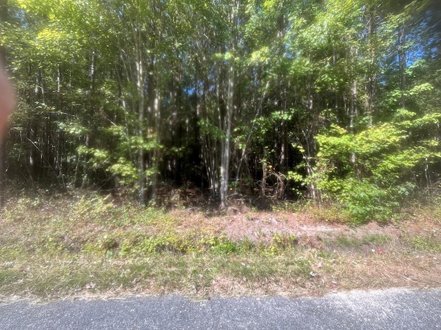 LOT245 Blundon Rd, Reedville VA, 22539 land for sale