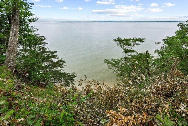 1753 N Independence Dr, Montross, VA 22520 - water view