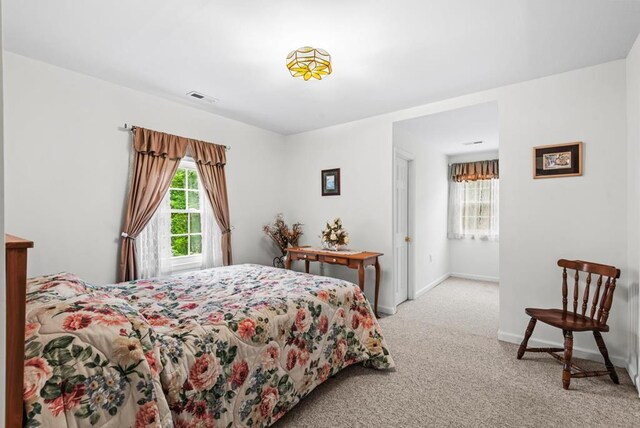 1753 N Independence Dr, Montross, VA 22520 - carpeted bedroom featuring multiple windows and baseboards