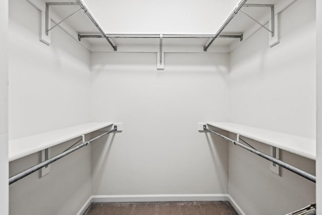 1753 N Independence Dr, Montross, VA 22520 - view of spacious closet